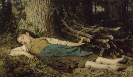 Dans la Forêt